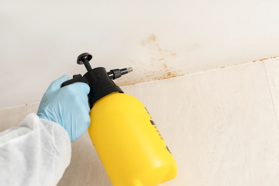 Deux pompiers en combinaisons de protection rouge et casques jaunes combattent un incendie industriel avec une lance à incendie, projetant de l'eau sur d'importantes flammes oranges dans un environnement extérieur